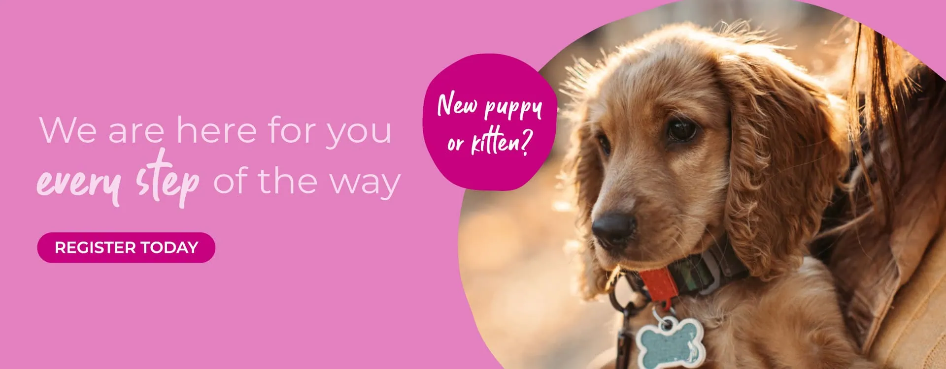 Welcome to Pets'n'Vets | Vets in Glasgow