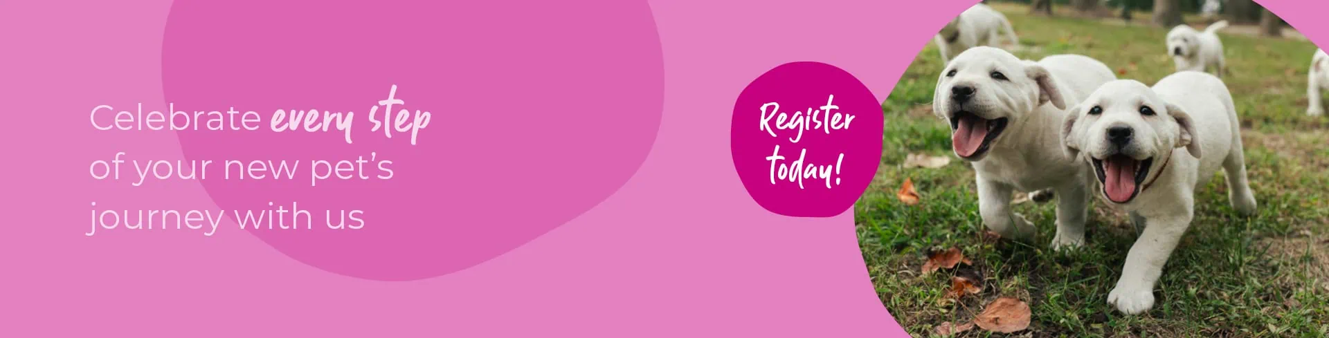 Start of Life for Your Puppy or Kitten