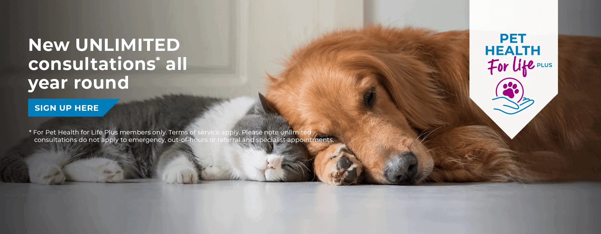 Welcome to Pets'n'Vets | Vets in Glasgow