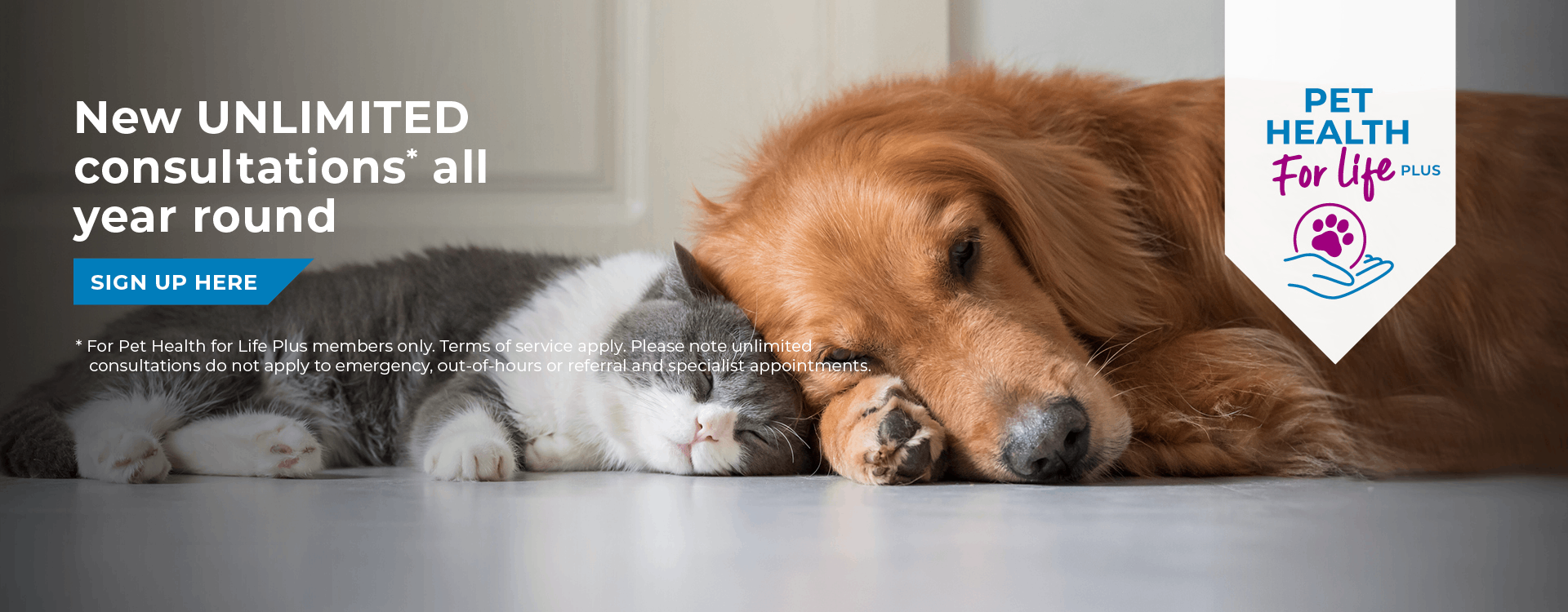 Welcome to Pets'n'Vets | Vets in Glasgow