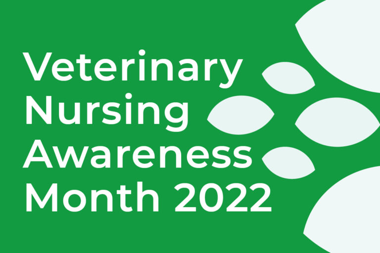 Veterinary Nursing Awareness Month at Pets 'N' Vets