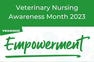 Veterinary Nursing Awareness Month at Pets 'N' Vets