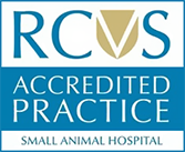cert rcvs accredited practice