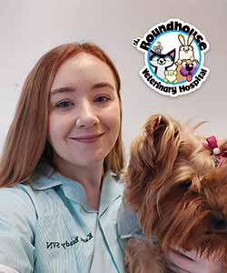 accountant graduate changes career to become a veterinary nurse in glasgow content image