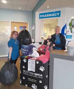 pet food bank initiative in glasgow by pets n vets rounchouse hospital