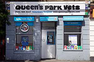 Queen's Park Vets
