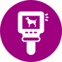 icon advanced care