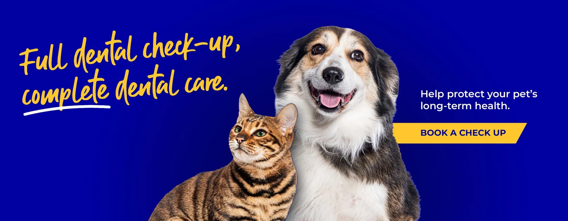Welcome to Pets'n'Vets | Vets in Glasgow
