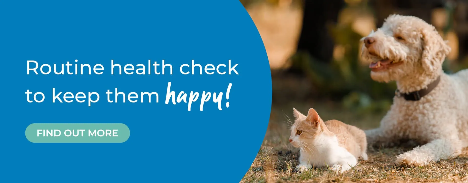 Welcome to Pets'n'Vets | Vets in Glasgow