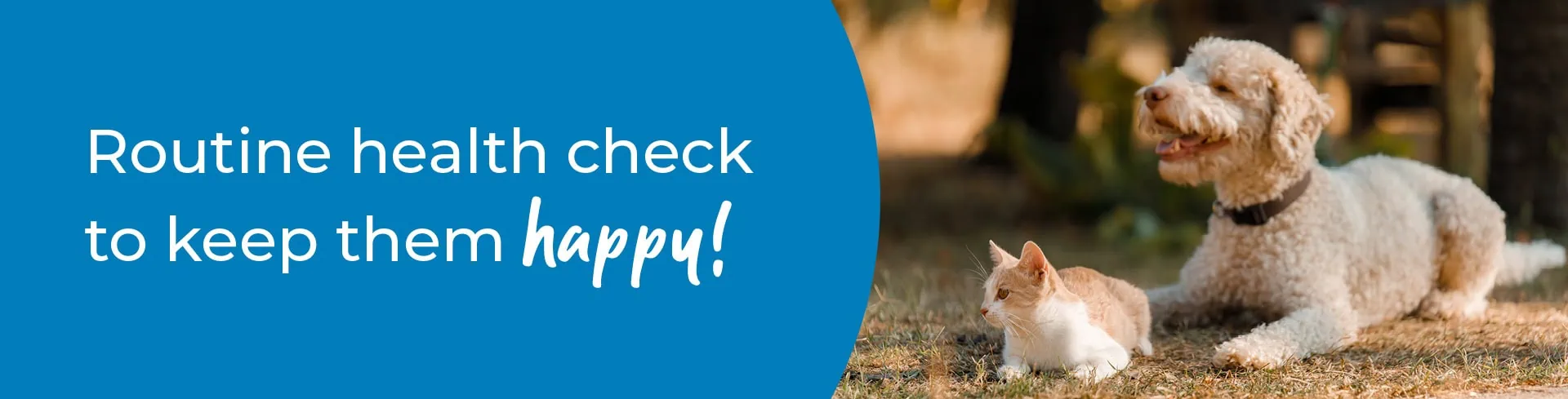 Pet Health Check in Glasgow | Preventative Vet Care